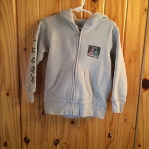 Quicksilver Grey Hoodie